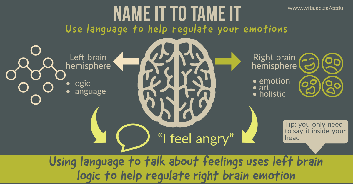 Name it to tame it infographic